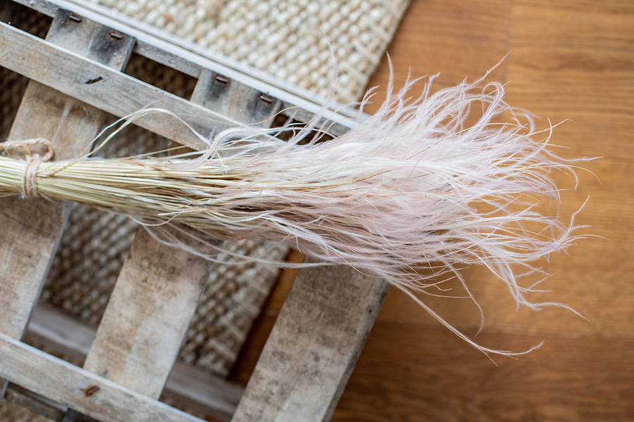 Stipa Gras gefärbt