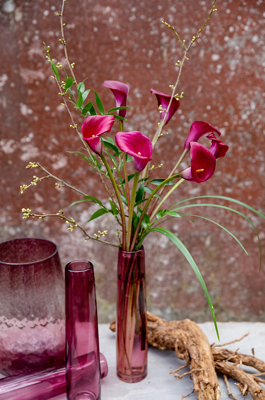 Calla plus