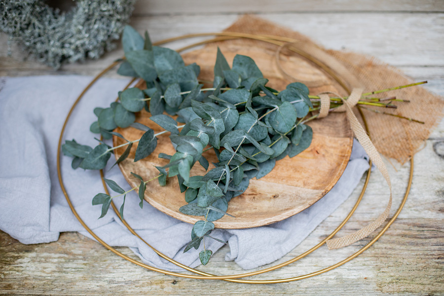 Eucalyptus