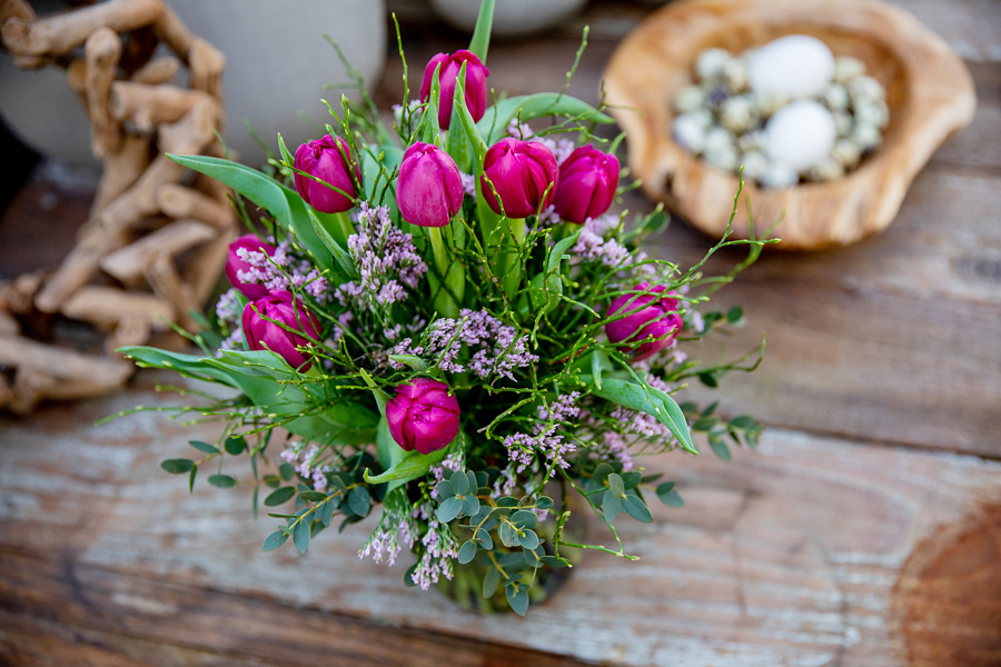 Tulpen purpur