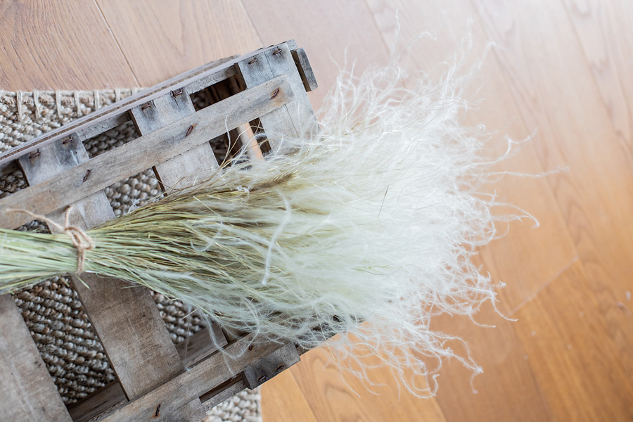 Stipa Gras
